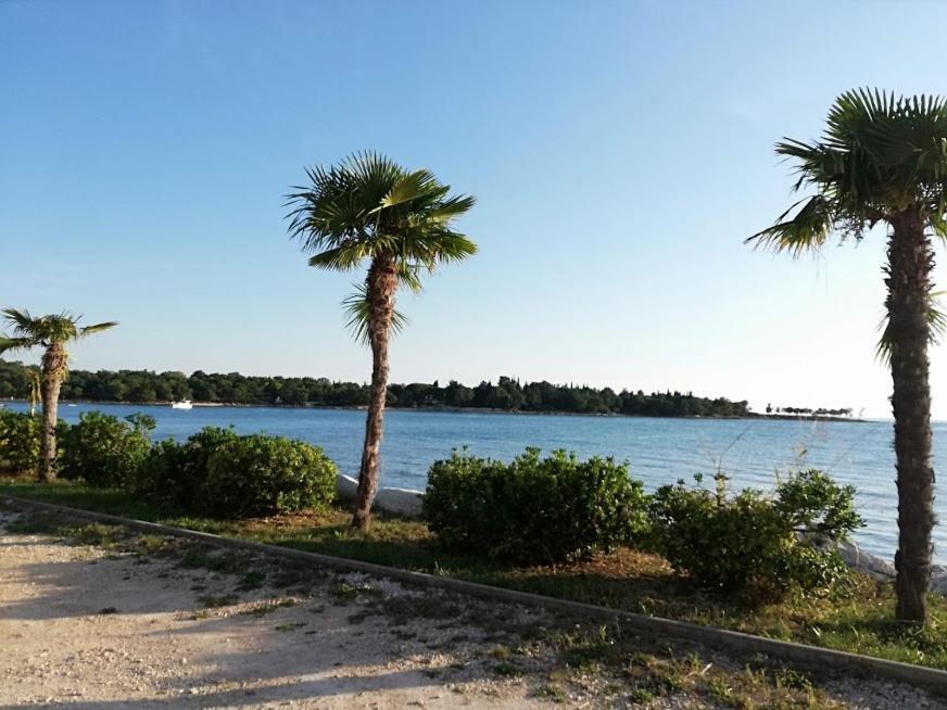 Apartments Oleander Lovrecica-Residence With Pool Εξωτερικό φωτογραφία