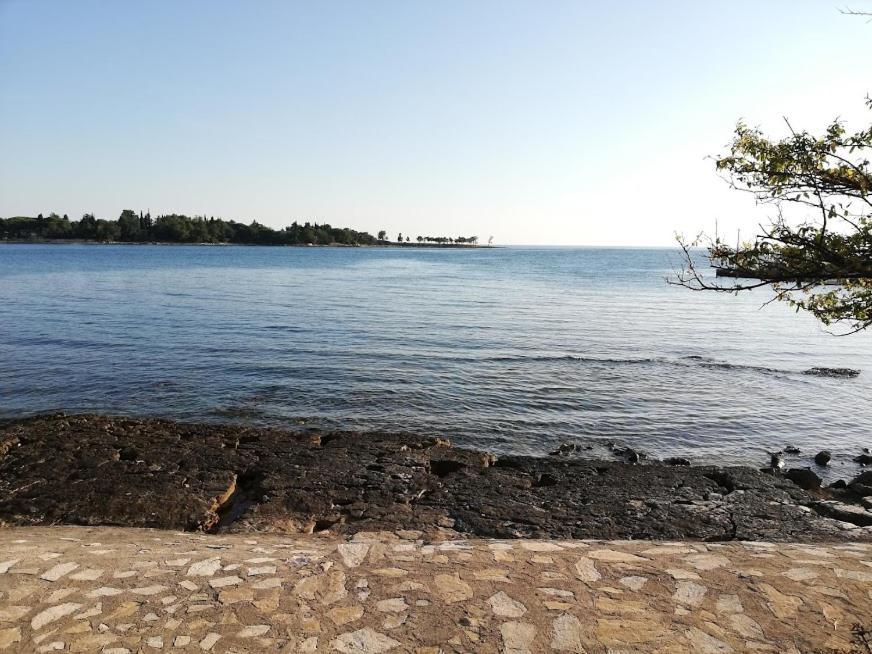 Apartments Oleander Lovrecica-Residence With Pool Εξωτερικό φωτογραφία