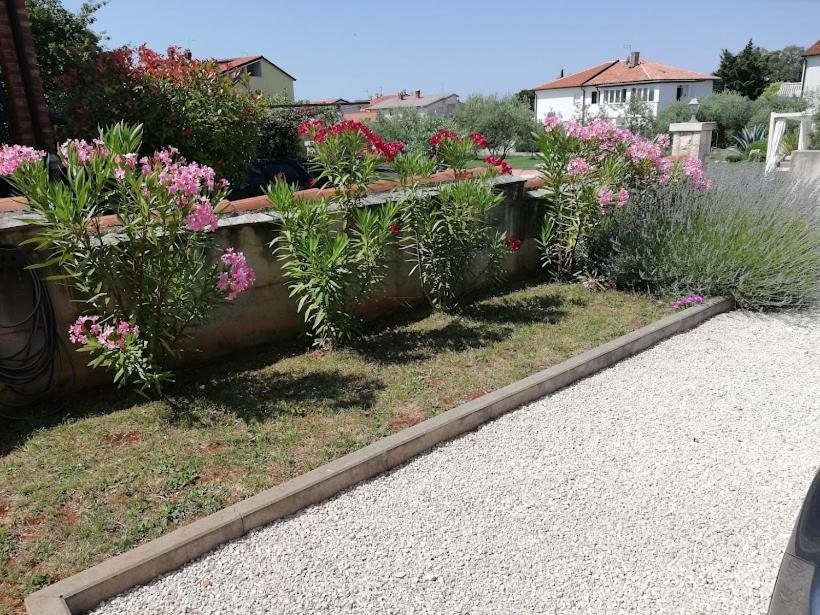 Apartments Oleander Lovrecica-Residence With Pool Εξωτερικό φωτογραφία