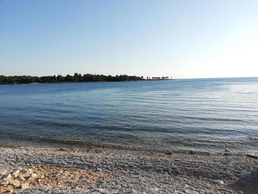 Apartments Oleander Lovrecica-Residence With Pool Εξωτερικό φωτογραφία