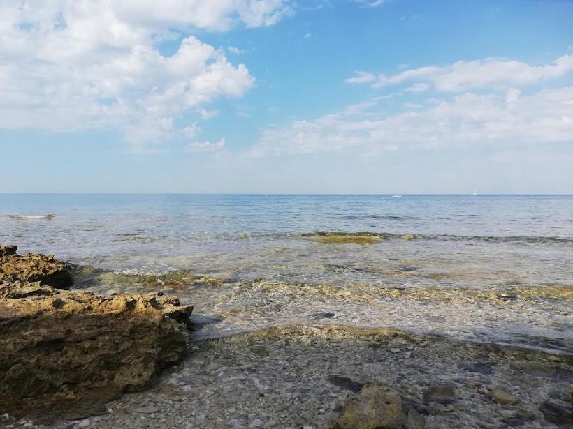 Apartments Oleander Lovrecica-Residence With Pool Εξωτερικό φωτογραφία