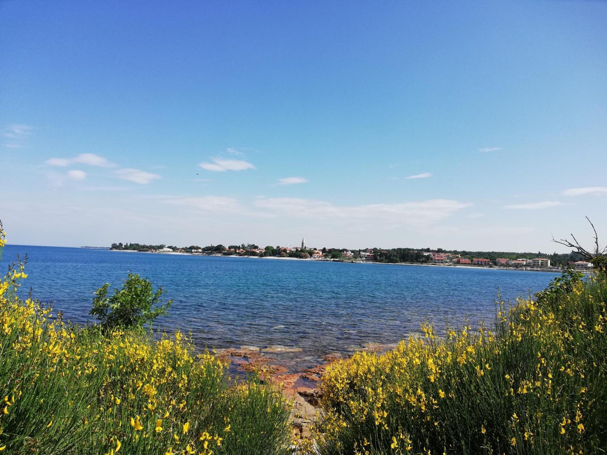 Apartments Oleander Lovrecica-Residence With Pool Εξωτερικό φωτογραφία