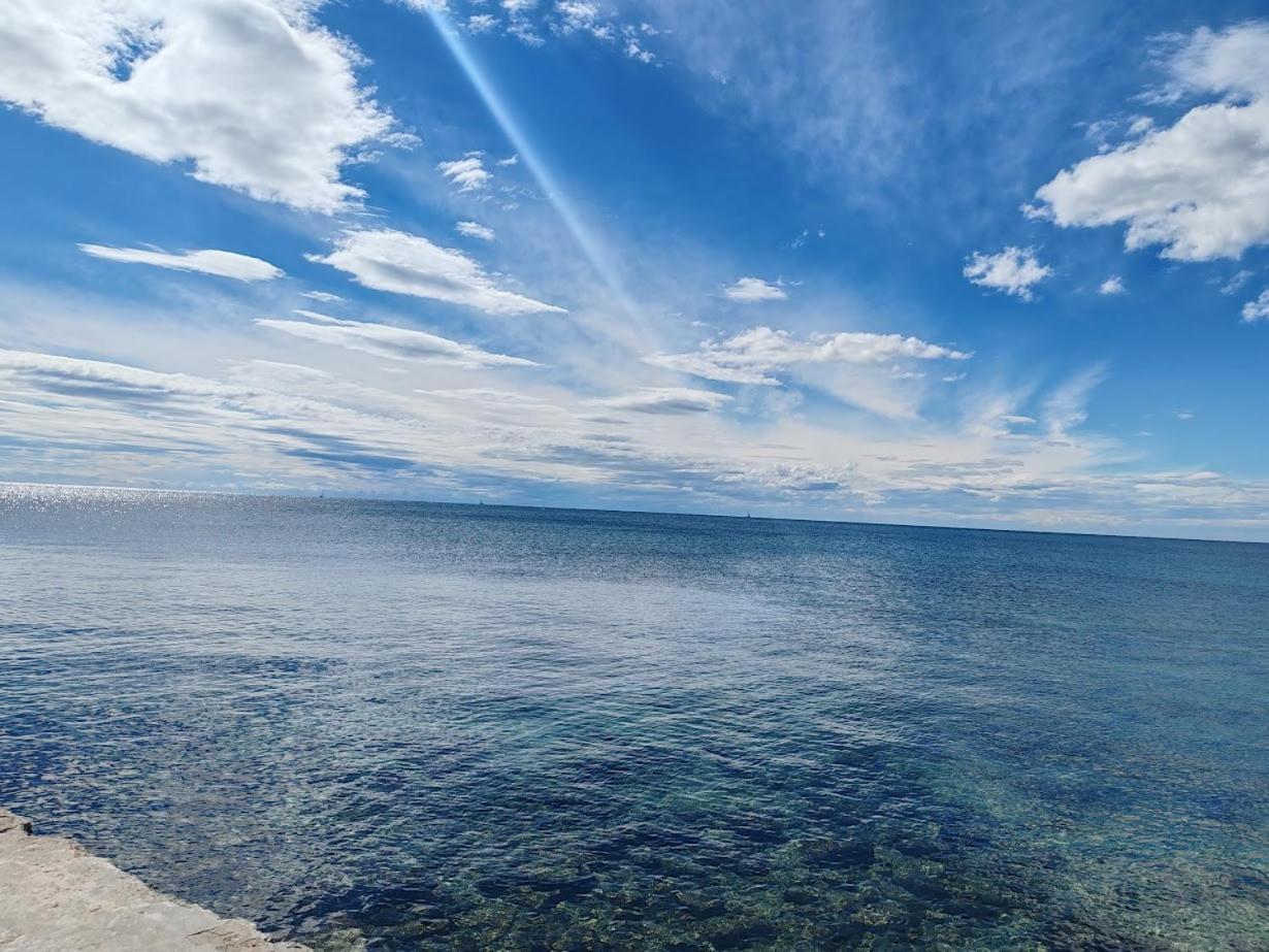 Apartments Oleander Lovrecica-Residence With Pool Εξωτερικό φωτογραφία