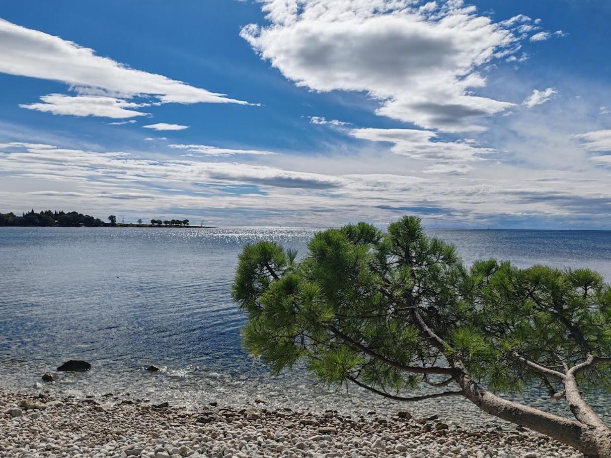 Apartments Oleander Lovrecica-Residence With Pool Εξωτερικό φωτογραφία
