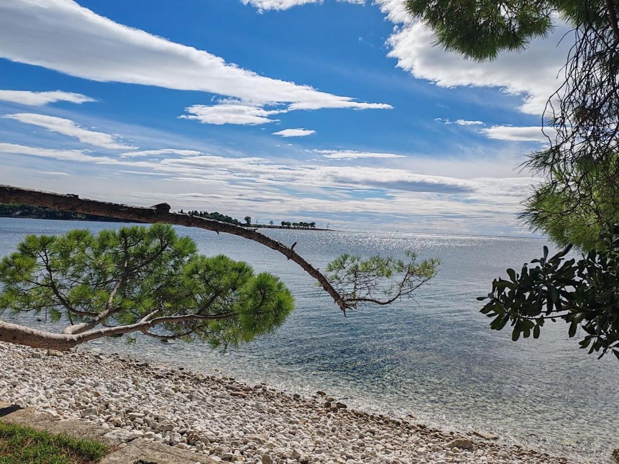 Apartments Oleander Lovrecica-Residence With Pool Εξωτερικό φωτογραφία